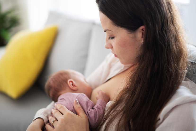 Galactagogues for milk supply increase