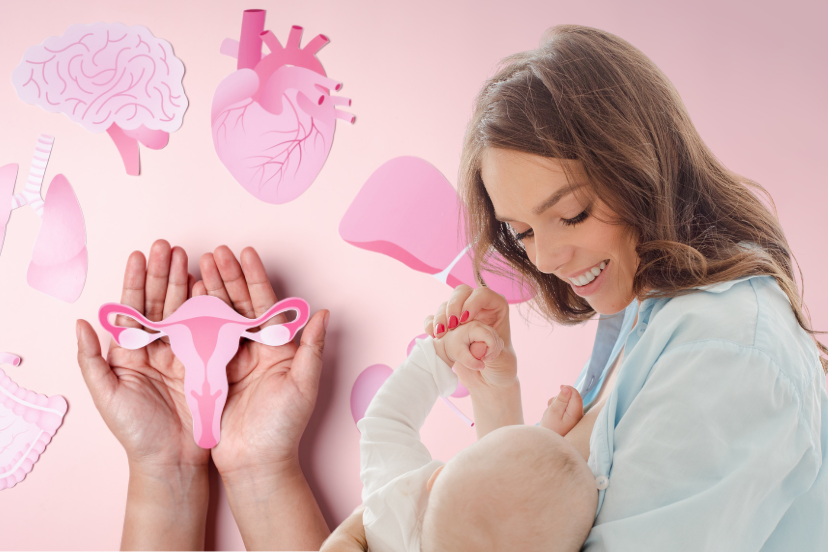 Breastfeeding and maternal fertility